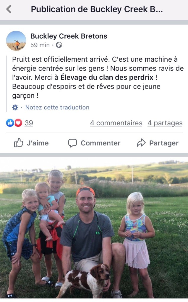 du Clan des Perdrix - Pruitt et Penecotte du clan des perdrix sont bien arrivés en IOWA