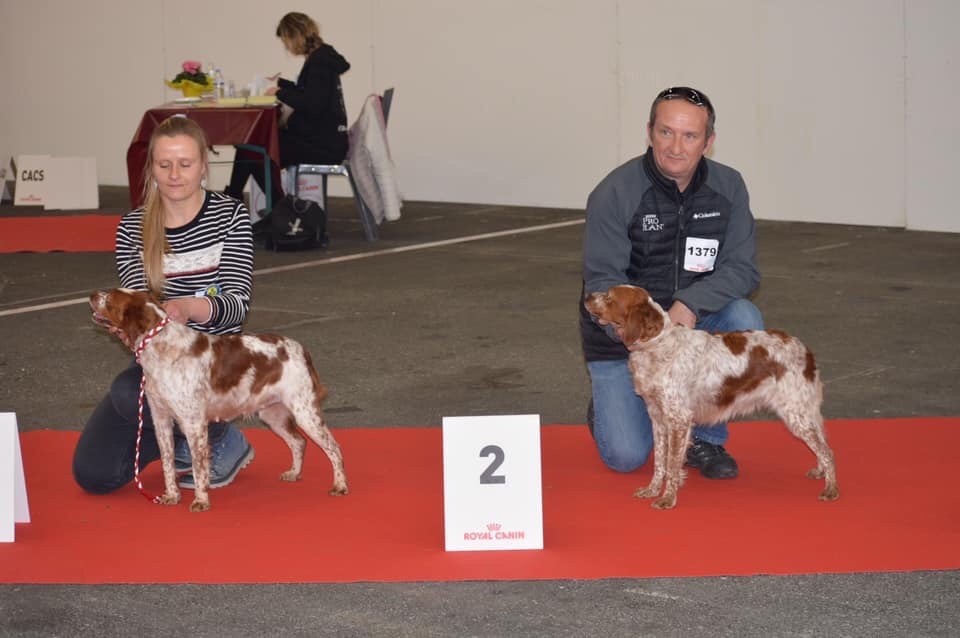 du Clan des Perdrix - Maline valide sa cotation 3 à Expo Bordeaux 